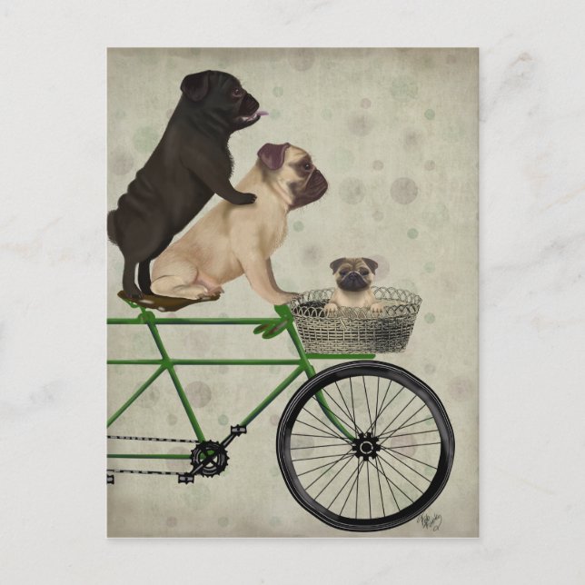 Pugs on Bicycle Postcard (Front)