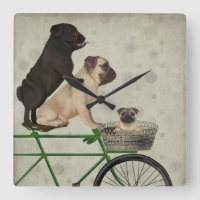 Pugs on Bicycle
