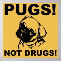 Pugs Pas Drogues Affiche Signe Drôle Citations