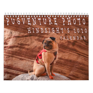 Pugventure Photo Hindsight's 2020 Calendar (Mediu)