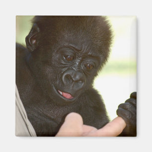 Puis-je tenir votre main ? Magnet