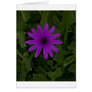 Puissance violette