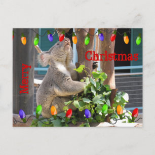 Puisse tes lumières briller. Carte postale