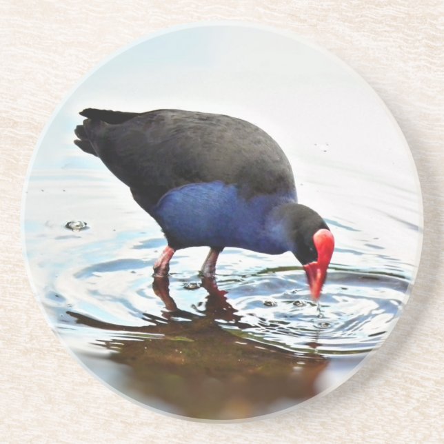 Pukeko Coaster (Front)
