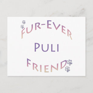 Puli Furever Friend Postcard