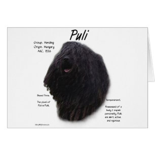 Puli History Design