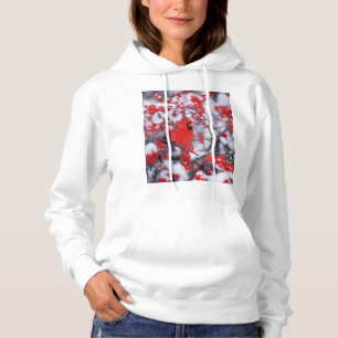 Pull À Capuche Cardinal rouge mâle, Hiver, IL