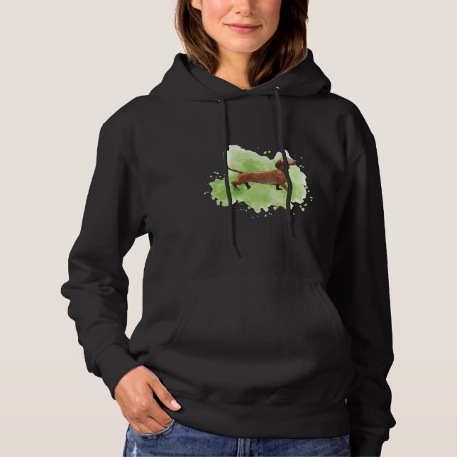 Pull À Capuche Dachshund Sur Vert (Devant)