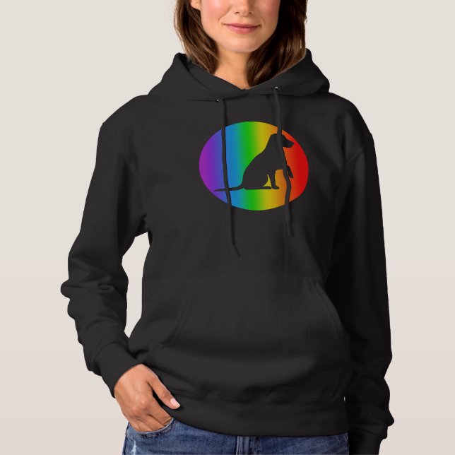 Pull À Capuche Labrador Retriever Chien Rainbow Silhouette (Devant)