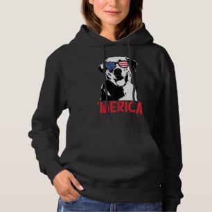 Pull À Capuche Merica Jaune Labrador Américain Lunettes de soleil