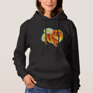 Pull À Capuche Rainbow Pomeranian