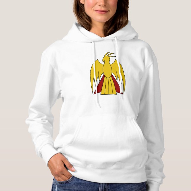 Pull À Capuche TSDS Arisdale (Devant)