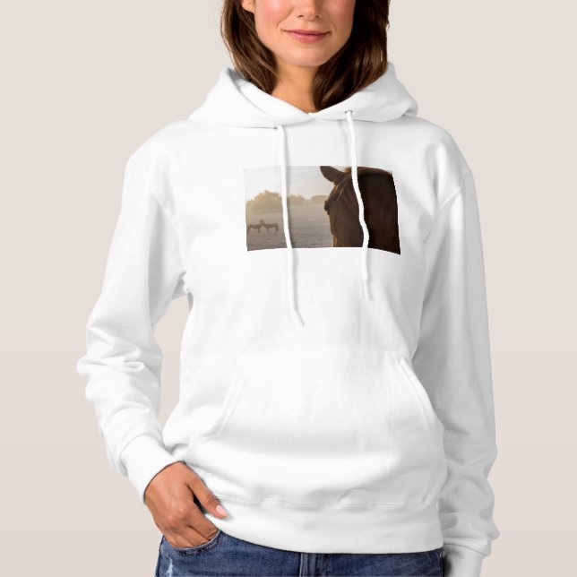 Pull À Capuche Vers l'avenir (Devant)