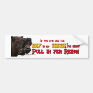 Pull in reins Funny Horse Bumper Sticker