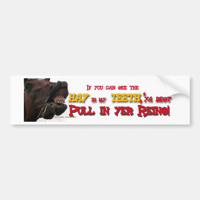 Pull in reins Funny Horse Bumper Sticker (Front)
