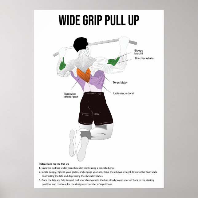 Pull-Up - Exercise - Muscle Anatomy Chart (Front)
