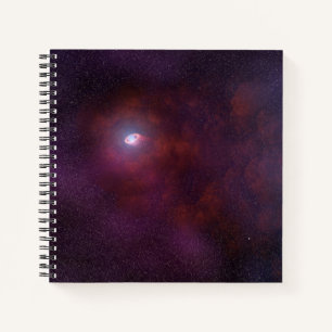 Pulsar Wind From A Neutron Star. Notebook