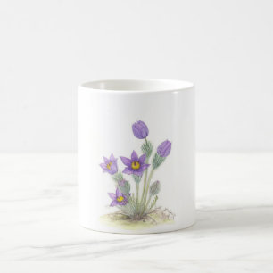 Pulsatilla vulgaris - Customized Coffee Mug