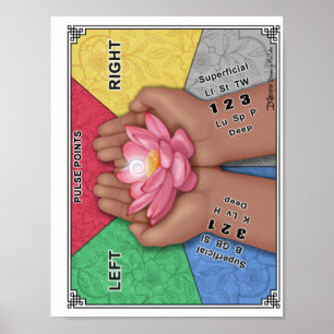 Pulse Chart for Notebook