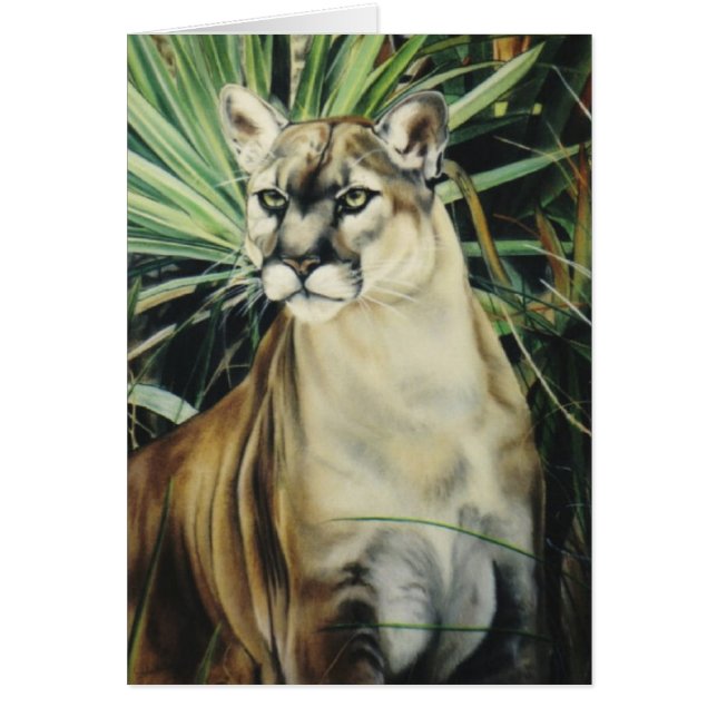 "Puma " (Devant)