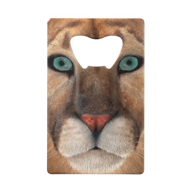 Puma (Devant)