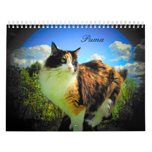 Puma Cat, My Supermodel Calico II Calendar (Cover)
