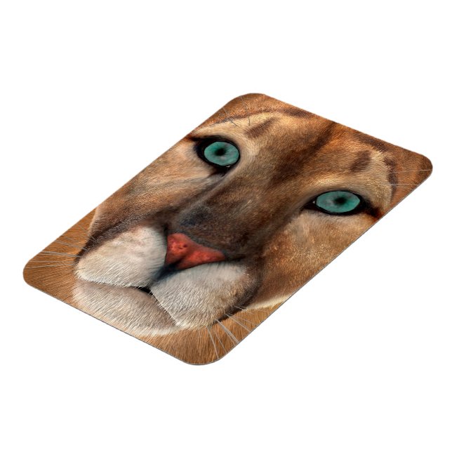 Puma Magnet (Left Side)