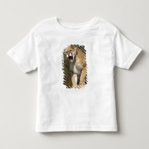 Puma or mountain lion, puma concolor, Captive - Toddler T-shirt