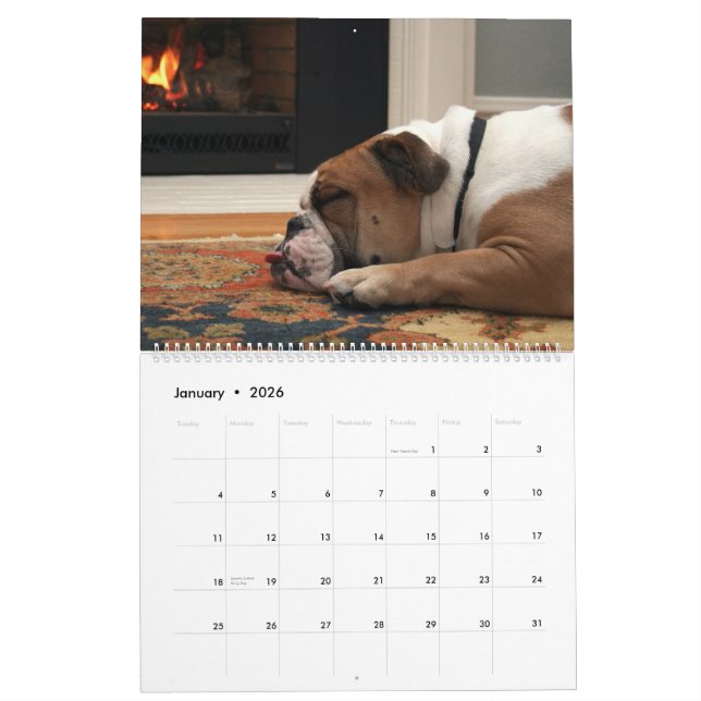 Pumbaa Calendar (Jan 2026)