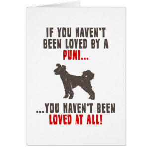 Pumi