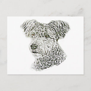 Pumi Postcard