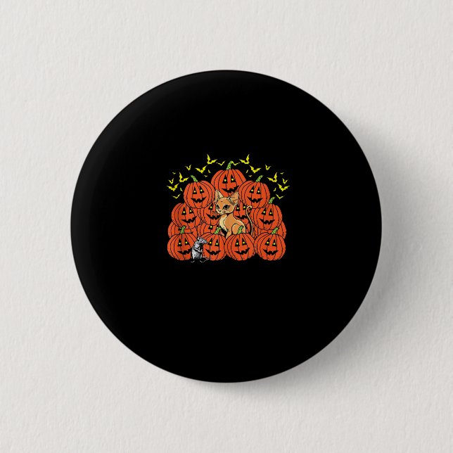 Pumpkin Abyssinian Cat Halloween Kitten Jack O Lan 2 Inch Round Button (Front)