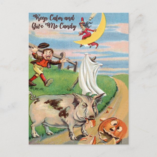 Pumpkin Accident with Pig Postcard (Front)