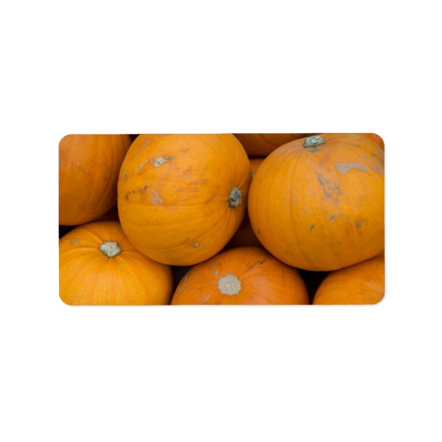 Pumpkin Address Label (Front)