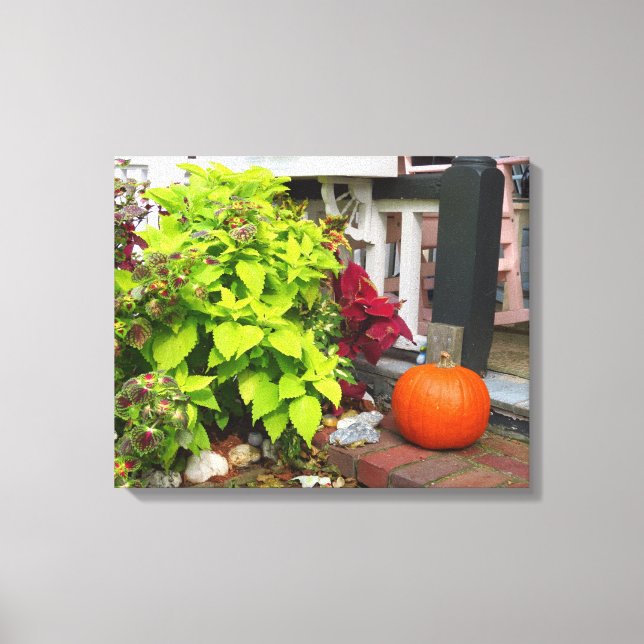 Pumpkin and Coleus - Martha's Vineyard Canvas Print (Front)