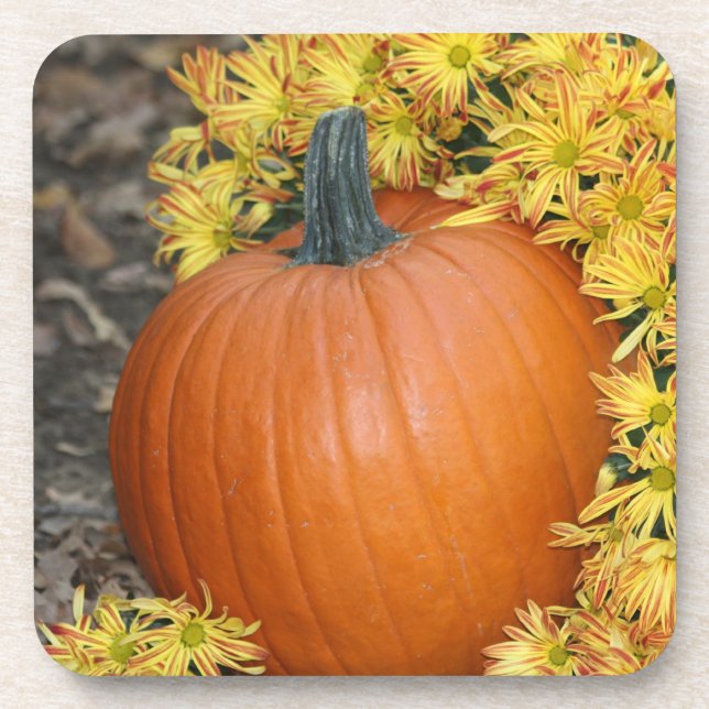 Pumpkin and Fall Flowers Drink Coasters (Front)