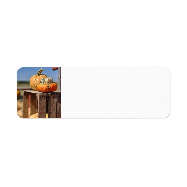 Pumpkin and gourd (Front)
