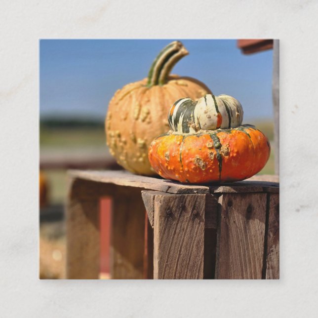 Pumpkin and gourd enclosure card (Front)