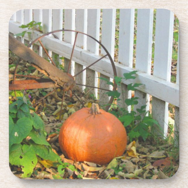 Pumpkin and Plow Coaster (Front)