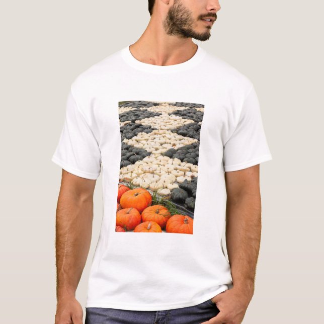 Pumpkin and squash pattern, Germany T-Shirt (Front)