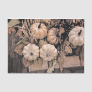 Pumpkin Autumn Orange White Brown Vintage Antique Tissue Paper