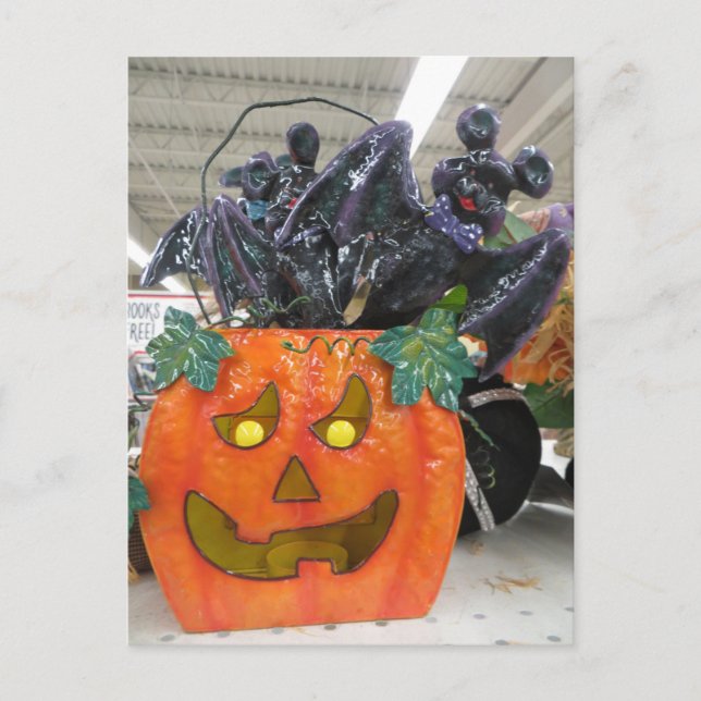 Pumpkin & Bat Postcard (Front)