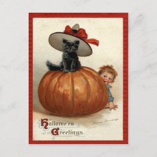 Pumpkin Black Cat Boy Frances Brundage Postcard