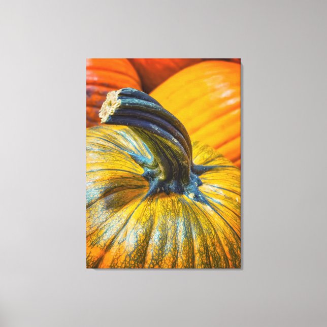 Pumpkin Canvas Print (Front)