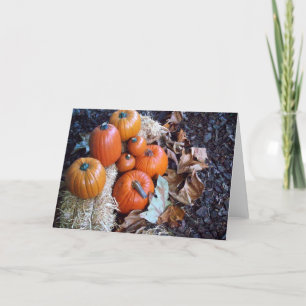 Pumpkin display greeting card