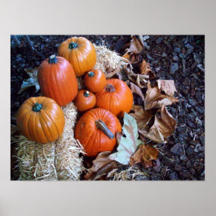 Pumpkin display print