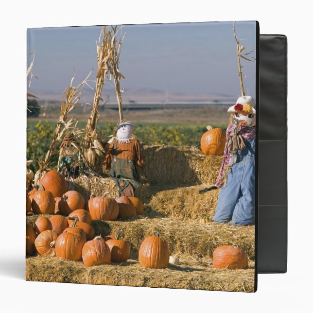 Pumpkin display with hay bales and scarecrows binder (Front/Inside)