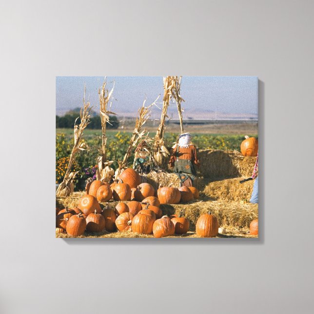 Pumpkin display with hay bales and scarecrows canvas print (Front)