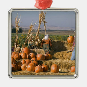 Pumpkin display with hay bales and scarecrows metal ornament