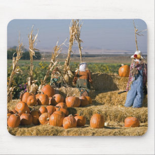 Pumpkin display with hay bales and scarecrows mouse pad